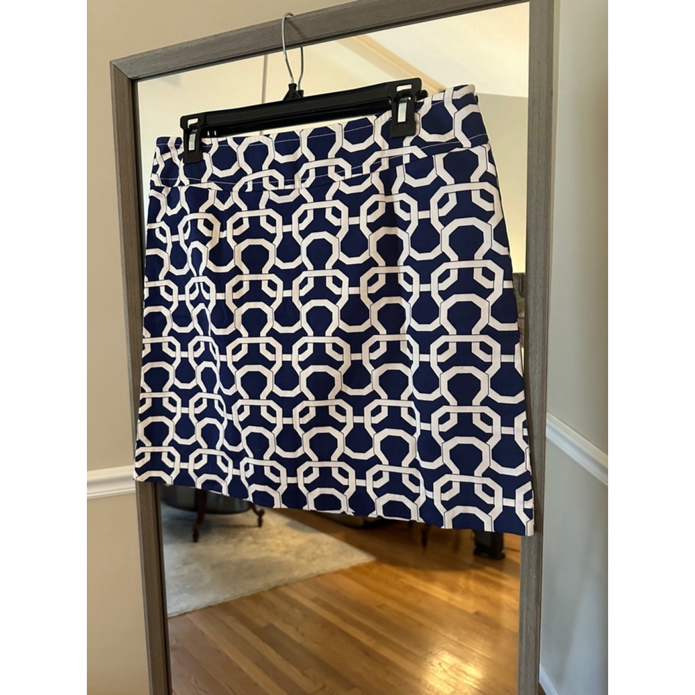 Skirtin Around Skirt Women Size 10 Blue White